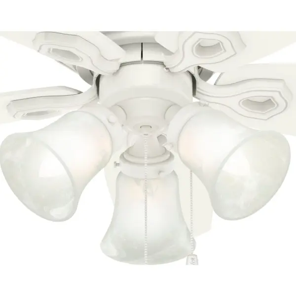 The Ceiling Fans by Hunter - Image 28