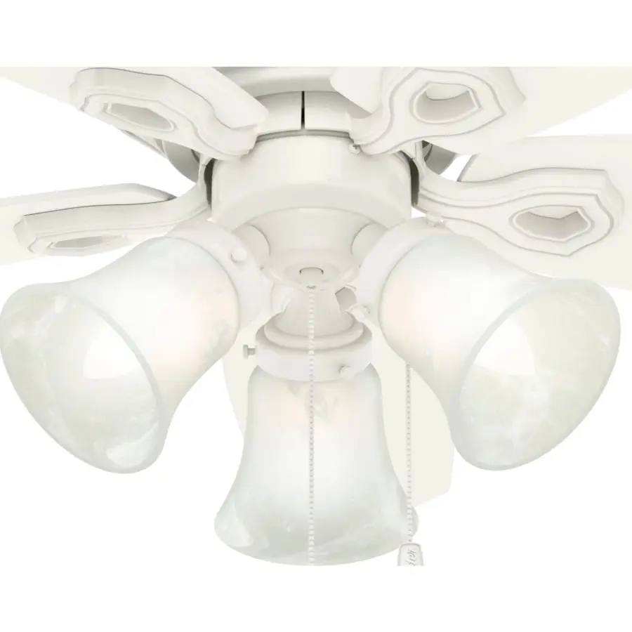 The Ceiling Fans by Hunter - Image 28
