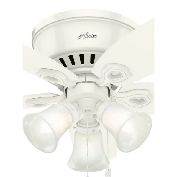 The Ceiling Fans by Hunter - Image 37
