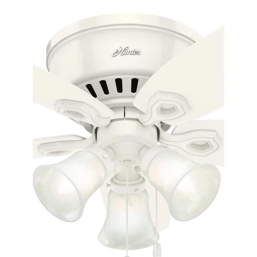 The Ceiling Fans by Hunter - Image 37