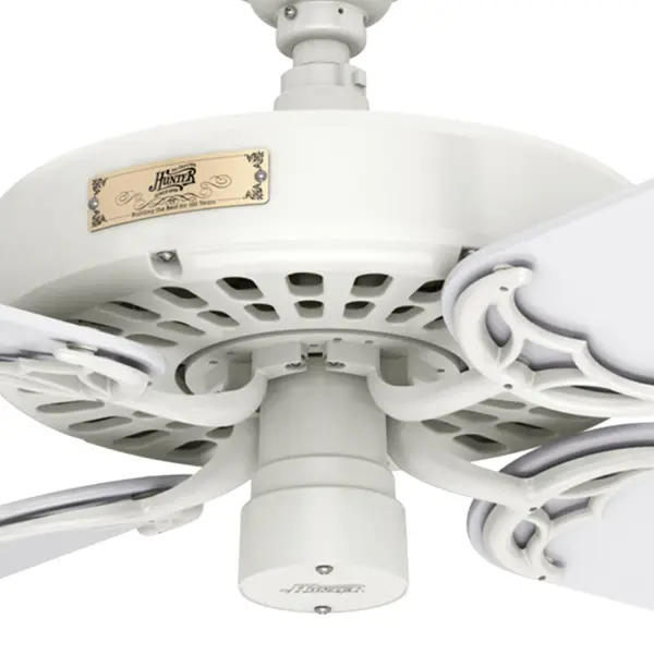 The Ceiling Fans by Hunter - Image 36