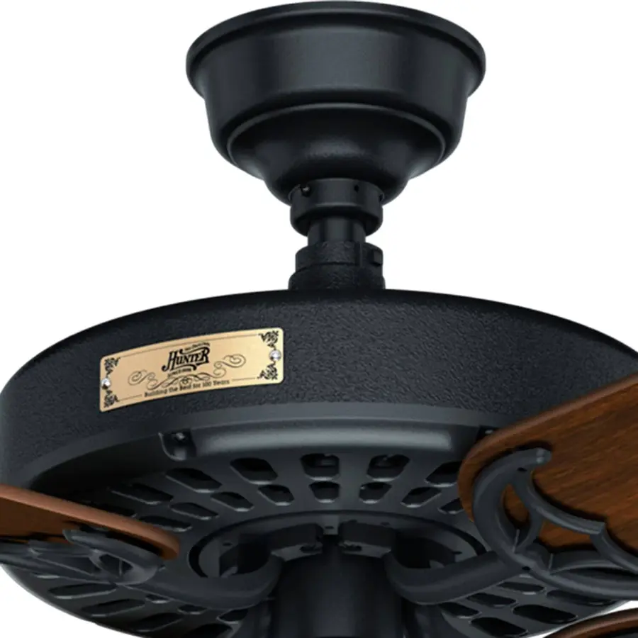 The Ceiling Fans by Hunter - Image 43