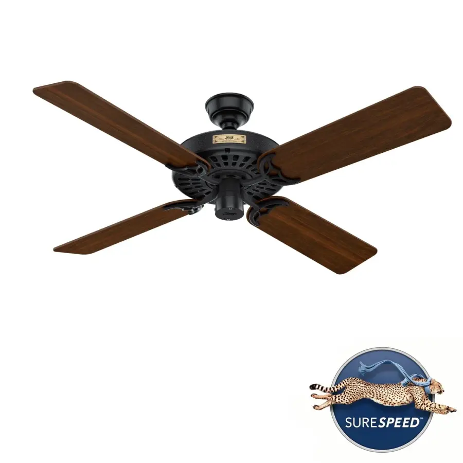 The Ceiling Fans by Hunter - Image 61