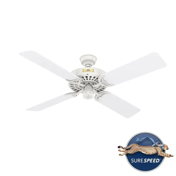 The Ceiling Fans by Hunter - Image 62