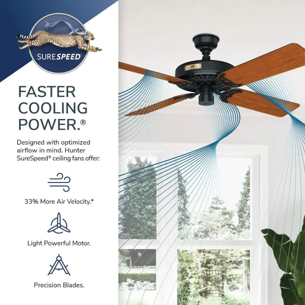 The Ceiling Fans by Hunter - Image 64
