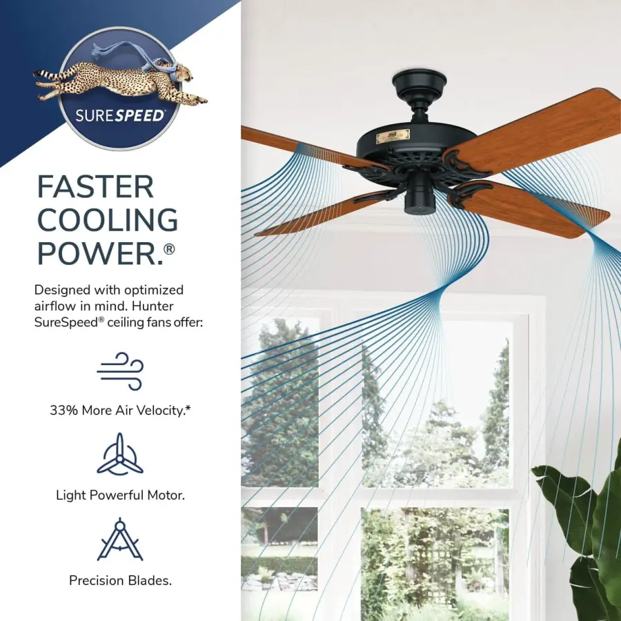 The Ceiling Fans by Hunter - Image 64