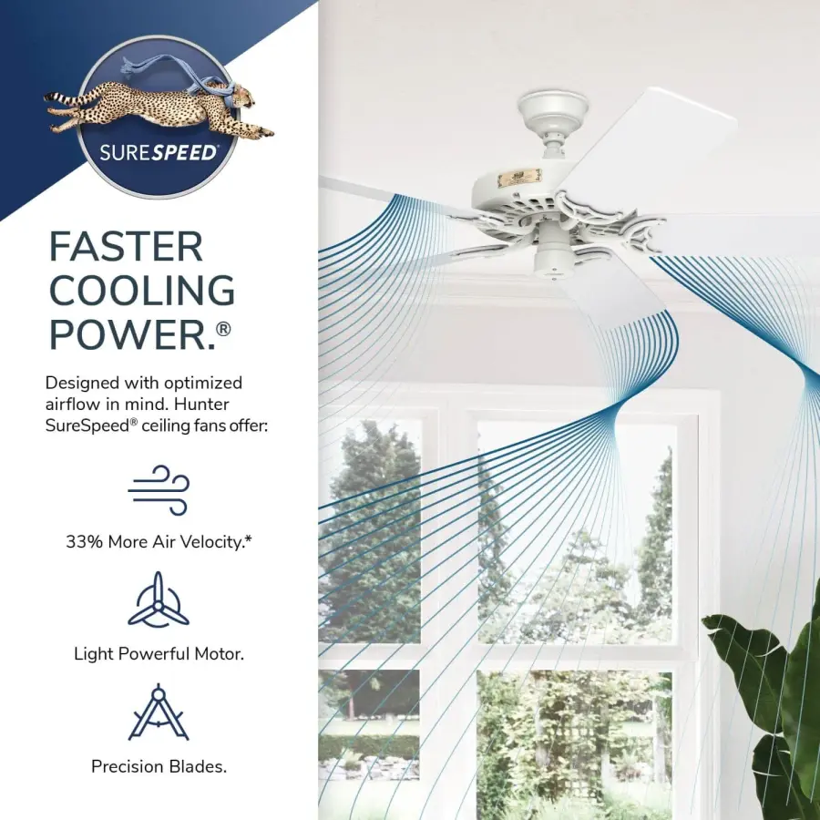 The Ceiling Fans by Hunter - Image 65