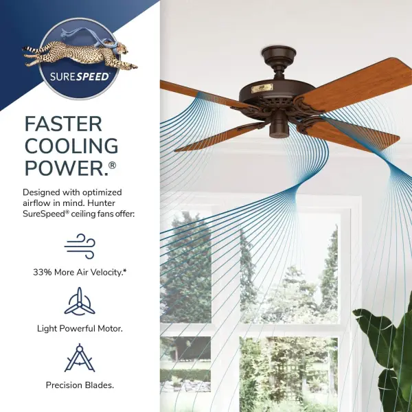 The Ceiling Fans by Hunter - Image 66
