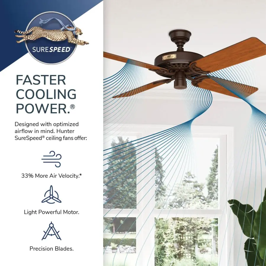 The Ceiling Fans by Hunter - Image 66