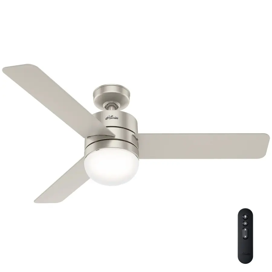 The Ceiling Fans by Hunter - Image 1