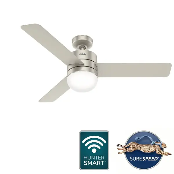 The Ceiling Fans by Hunter - Image 11
