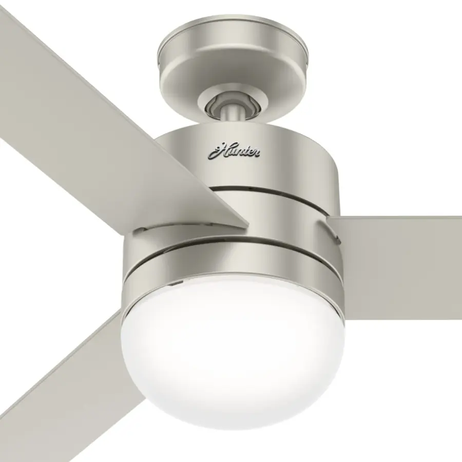 The Ceiling Fans by Hunter - Image 9