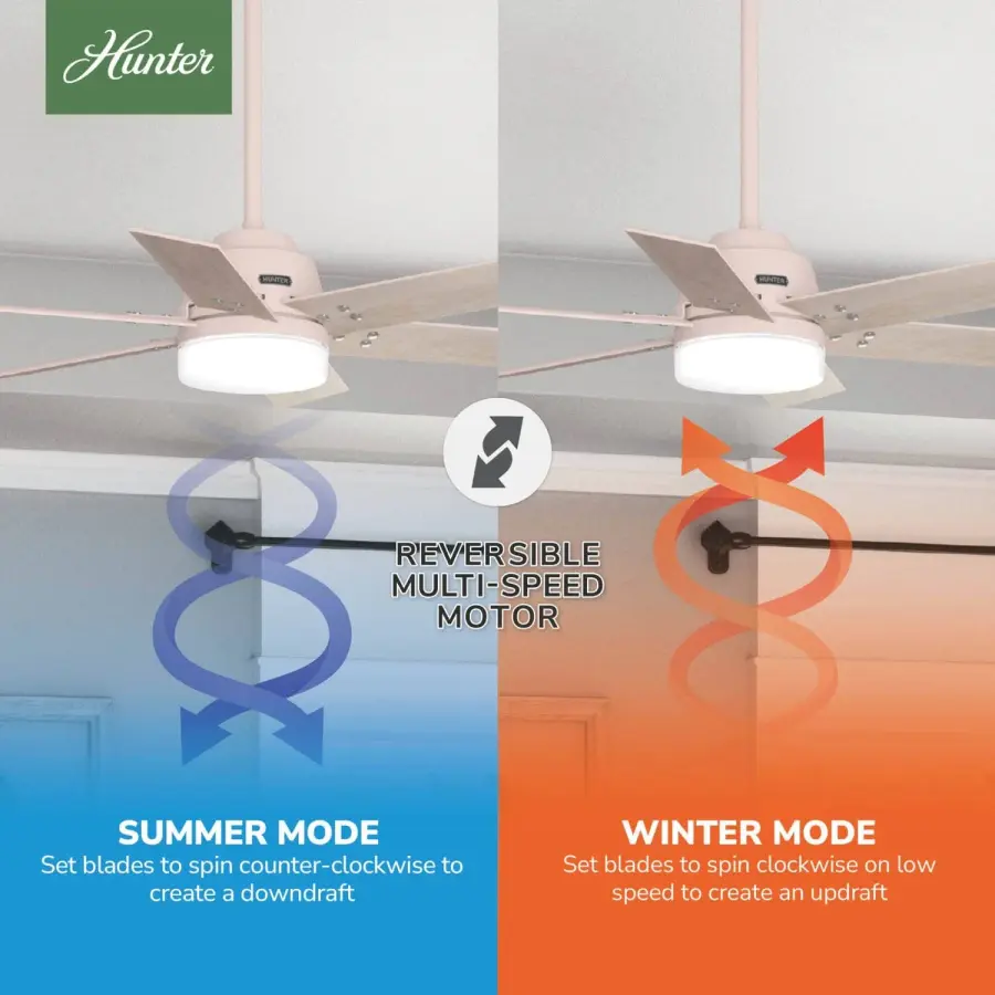 The Ceiling Fans by Hunter - Image 17
