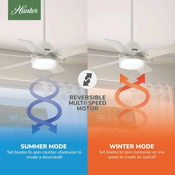 The Ceiling Fans by Hunter - Image 18
