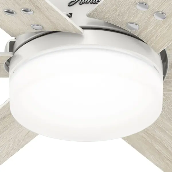 The Ceiling Fans by Hunter - Image 30