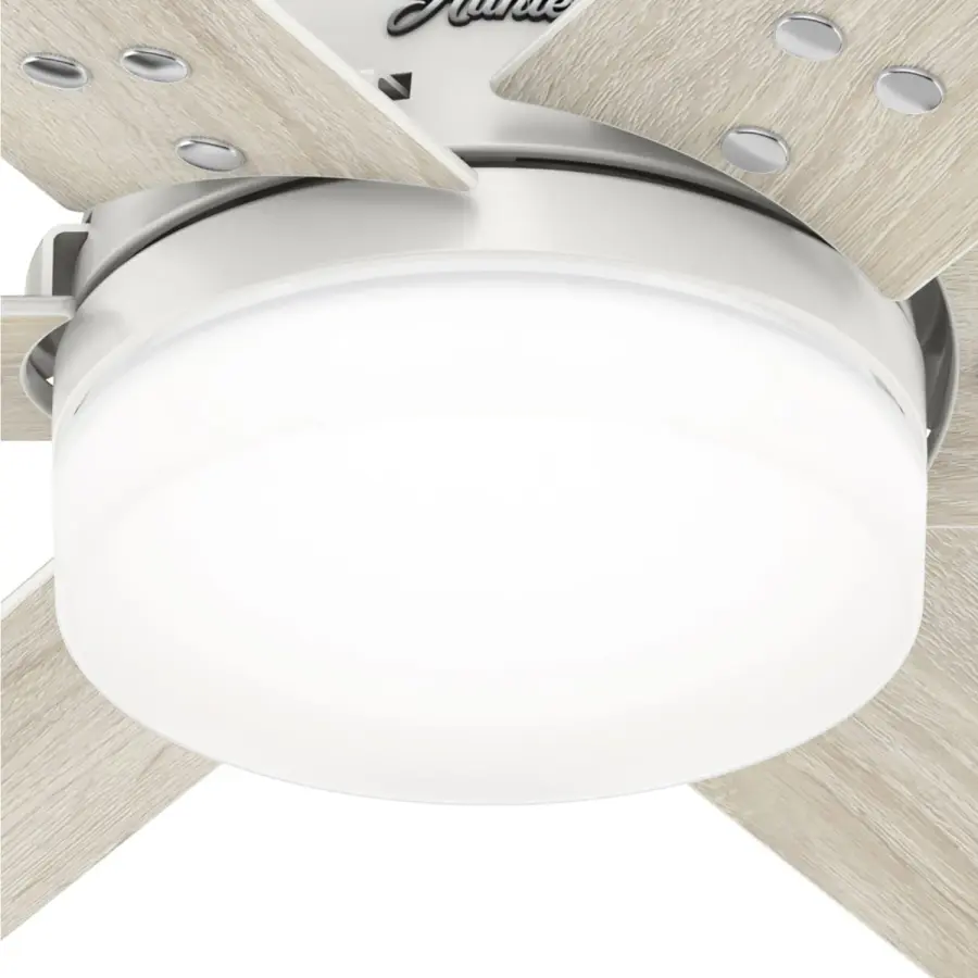 The Ceiling Fans by Hunter - Image 30