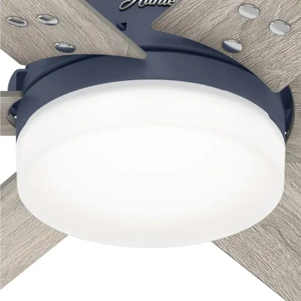 The Ceiling Fans by Hunter - Image 31