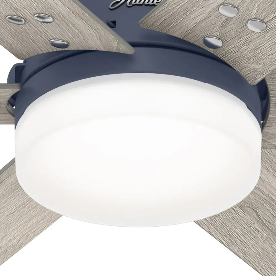 The Ceiling Fans by Hunter - Image 31