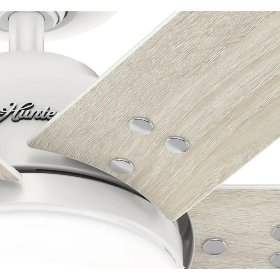 The Ceiling Fans by Hunter - Image 33