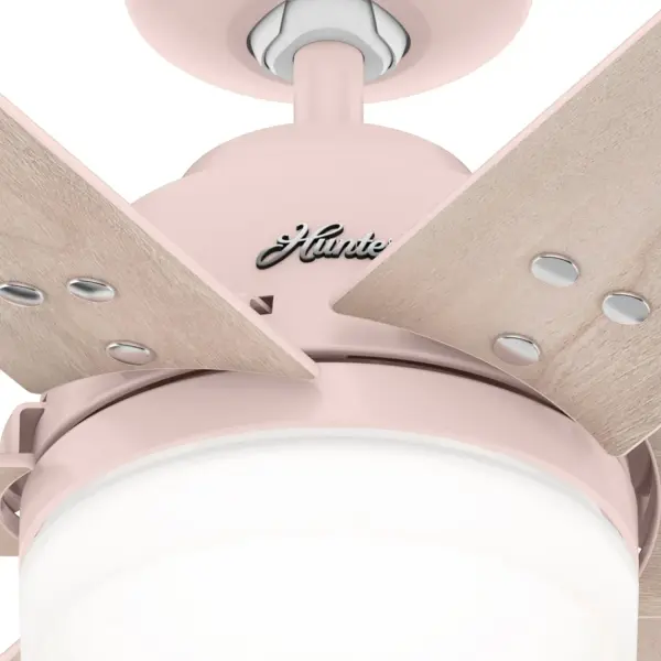 The Ceiling Fans by Hunter - Image 35