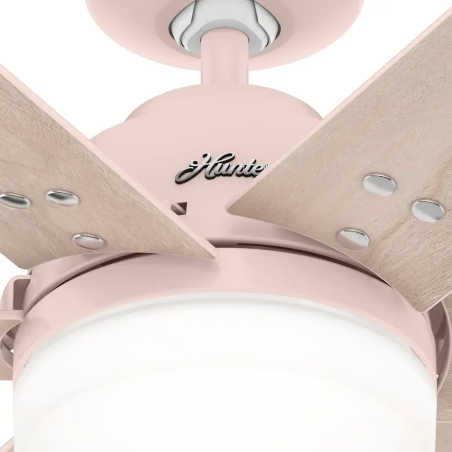 The Ceiling Fans by Hunter - Image 35