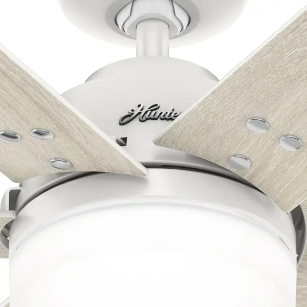 The Ceiling Fans by Hunter - Image 36