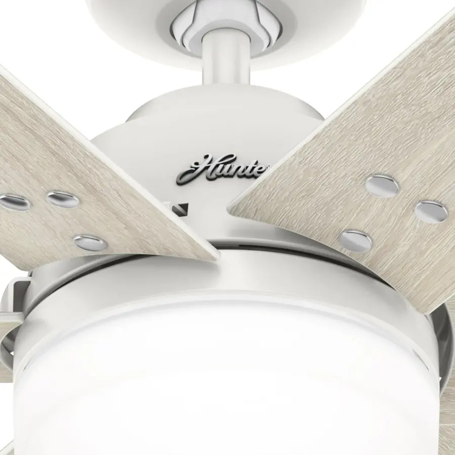 The Ceiling Fans by Hunter - Image 36