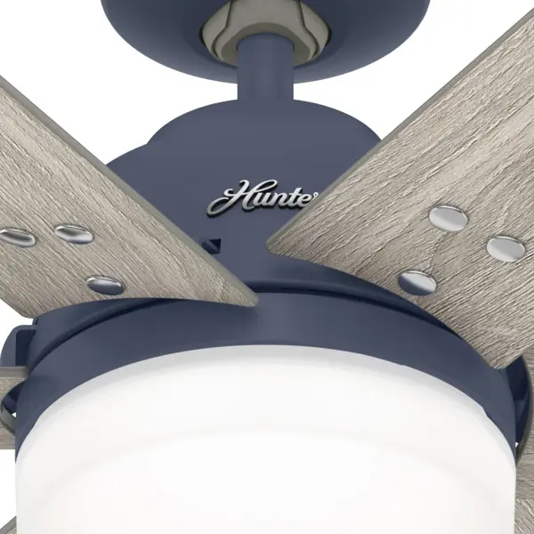The Ceiling Fans by Hunter - Image 37