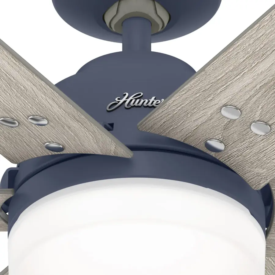 The Ceiling Fans by Hunter - Image 37