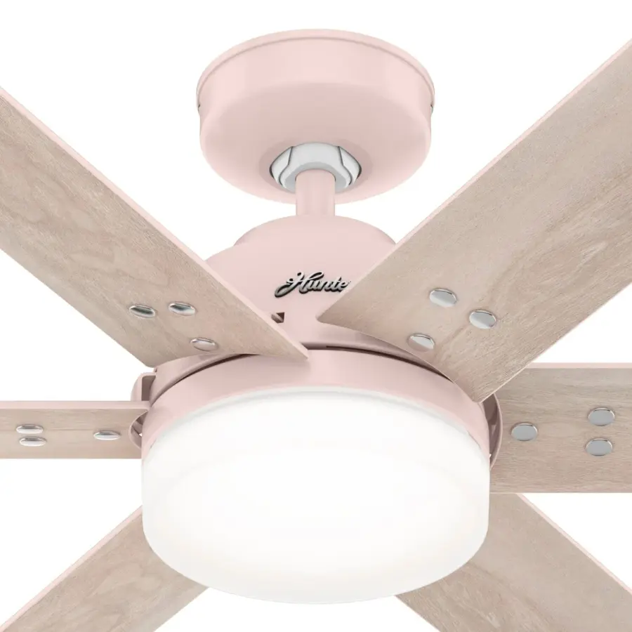 The Ceiling Fans by Hunter - Image 38