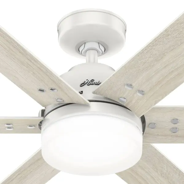 The Ceiling Fans by Hunter - Image 39
