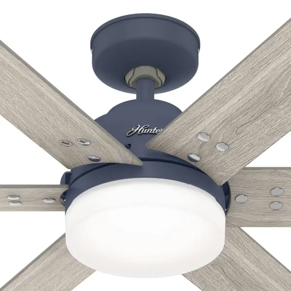 The Ceiling Fans by Hunter - Image 40