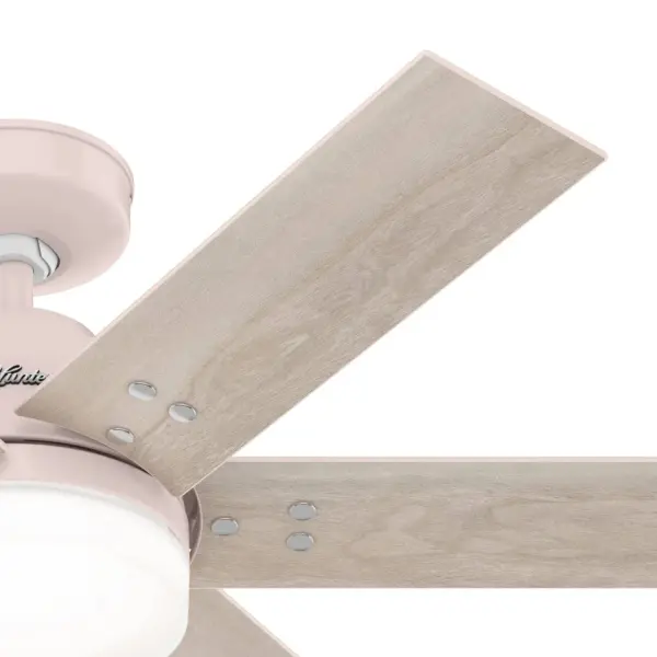 The Ceiling Fans by Hunter - Image 41