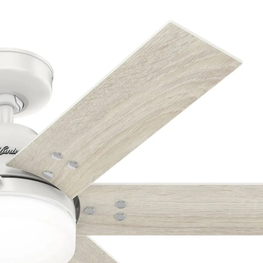The Ceiling Fans by Hunter - Image 42