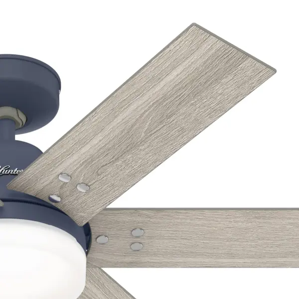 The Ceiling Fans by Hunter - Image 43