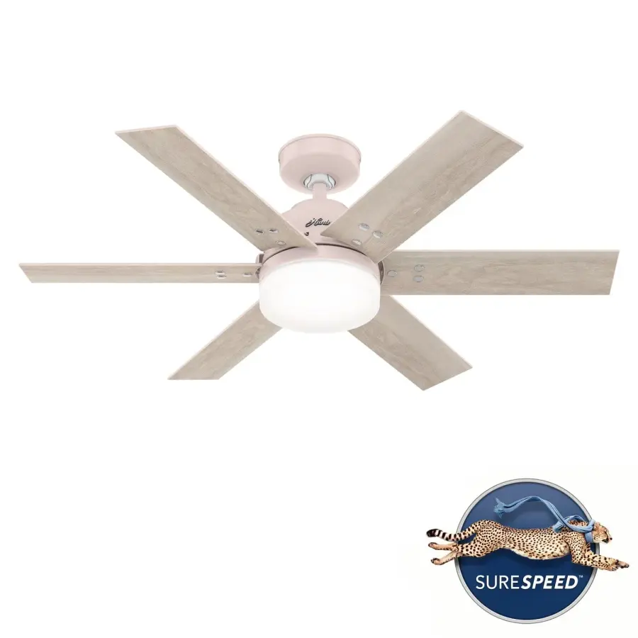 The Ceiling Fans by Hunter - Image 44