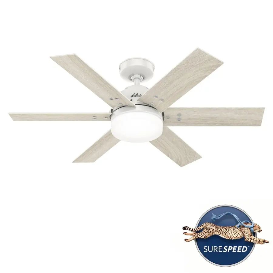 The Ceiling Fans by Hunter - Image 45