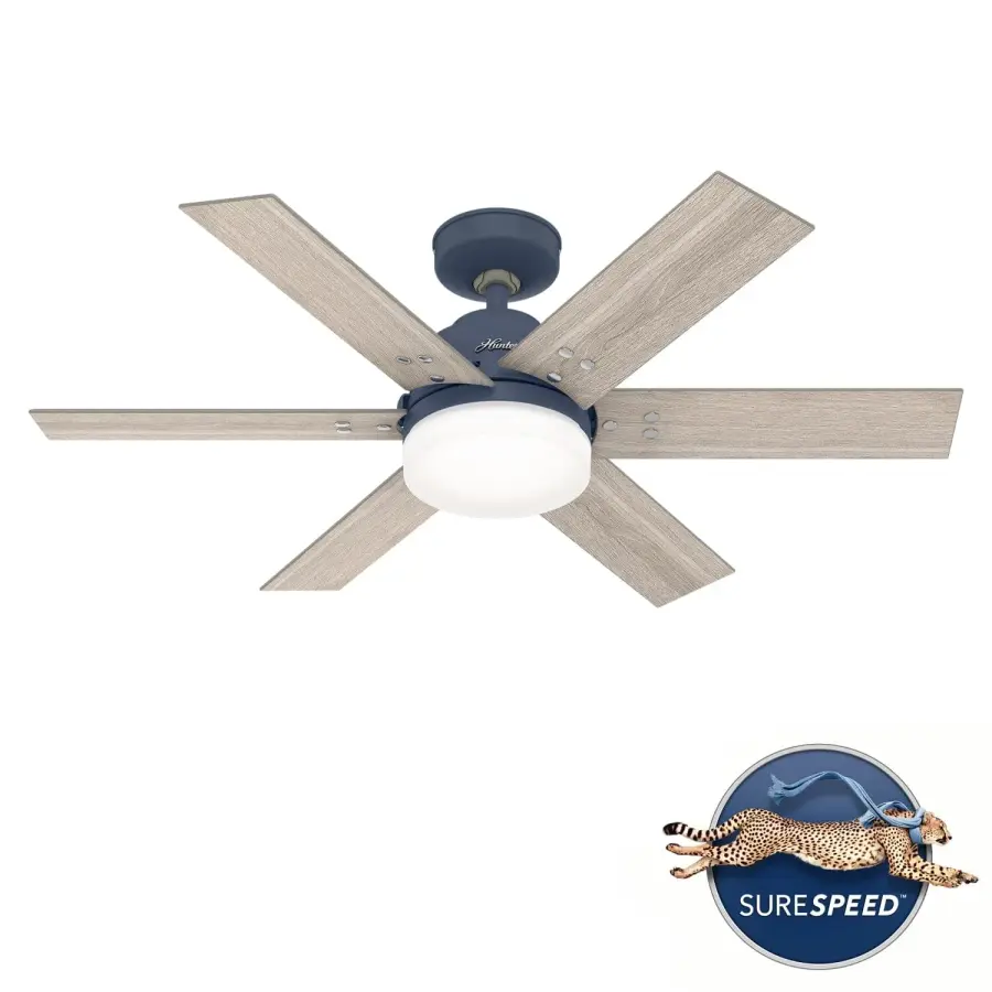 The Ceiling Fans by Hunter - Image 46