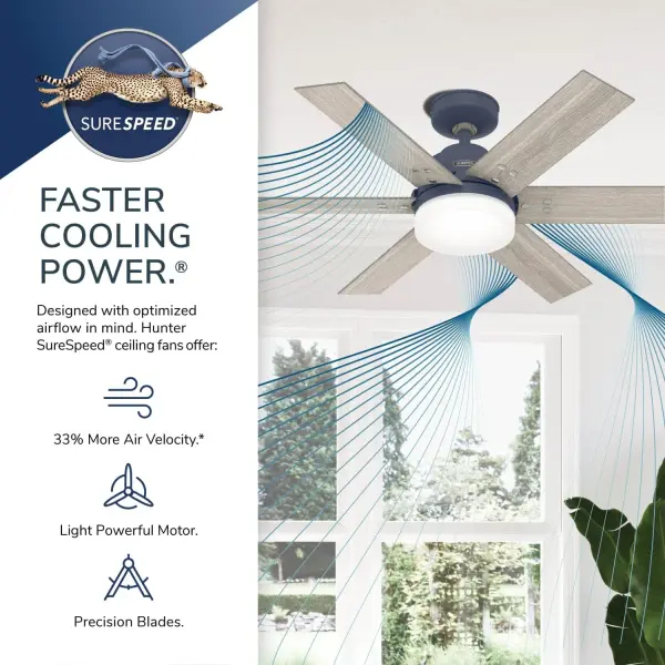 The Ceiling Fans by Hunter - Image 47