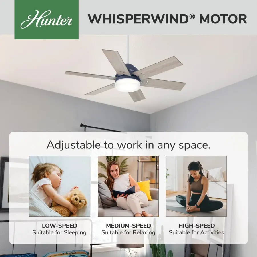 The Ceiling Fans by Hunter - Image 52