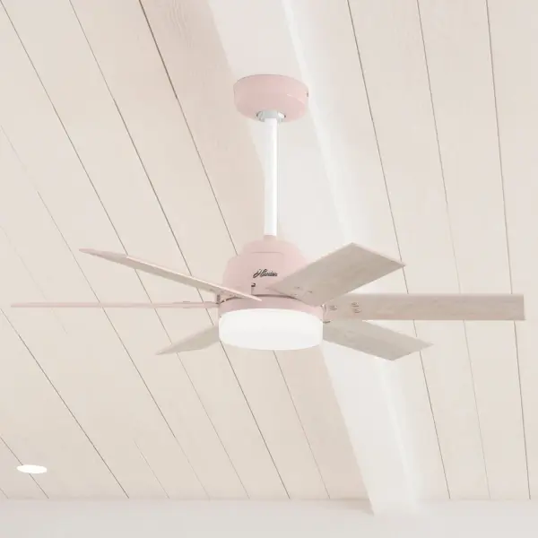 The Ceiling Fans by Hunter - Image 10