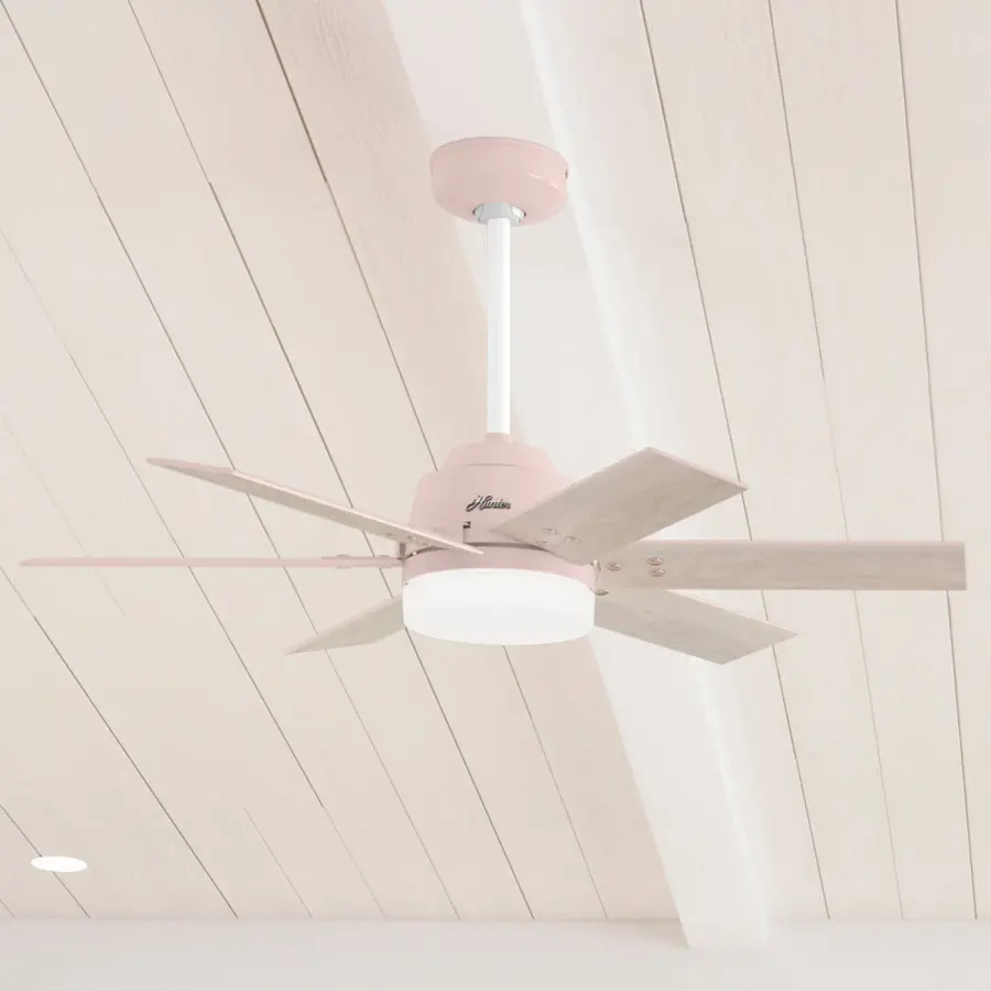 The Ceiling Fans by Hunter - Image 10
