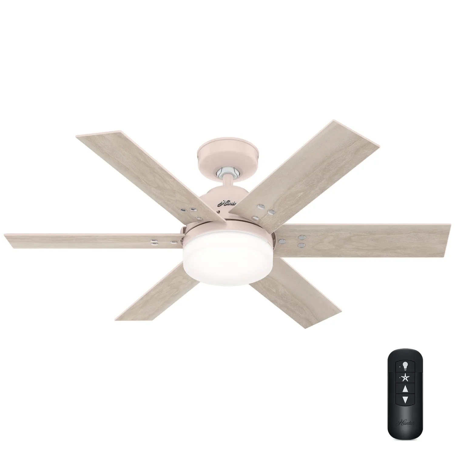 Pacer 44" Ceiling Fan in Blush Pink