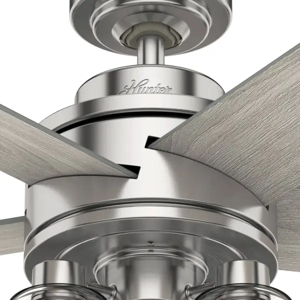 The Ceiling Fans by Hunter - Image 12