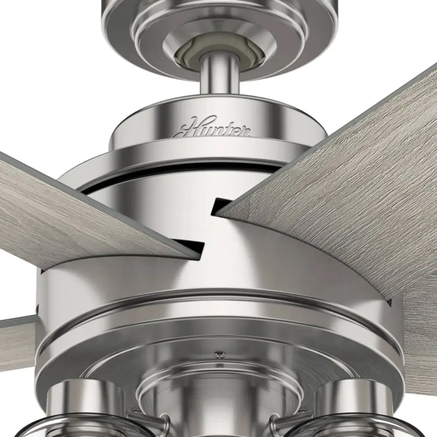 The Ceiling Fans by Hunter - Image 12