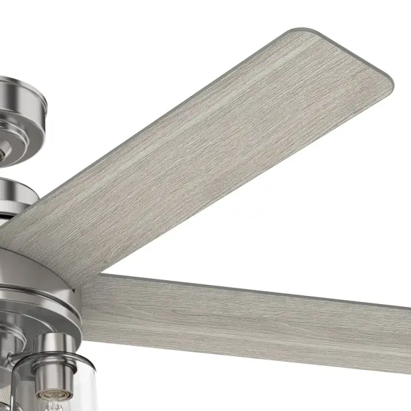 The Ceiling Fans by Hunter - Image 14