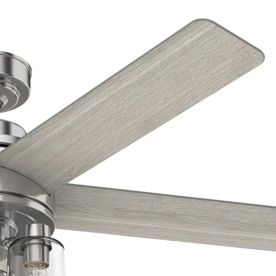 The Ceiling Fans by Hunter - Image 14