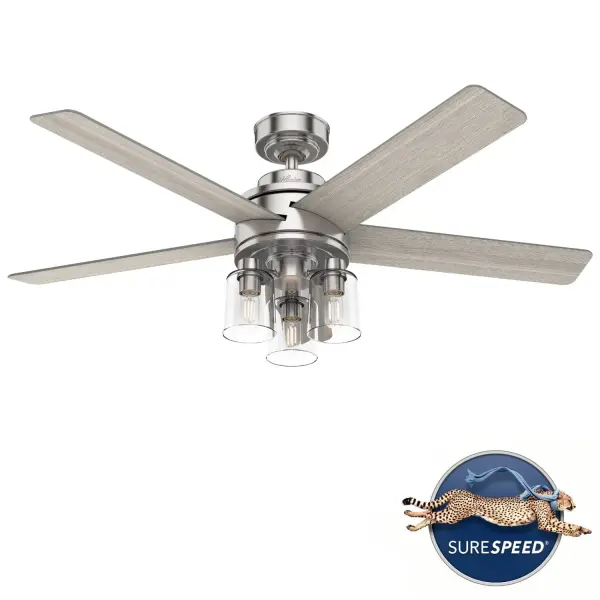 The Ceiling Fans by Hunter - Image 15
