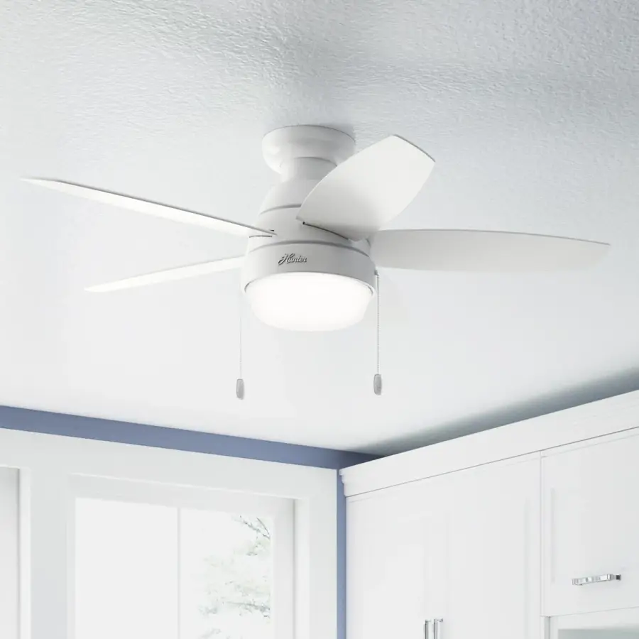 Lilliana with LED Light 44 inch - Image 12