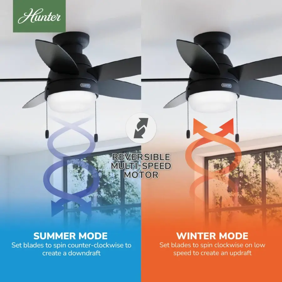 Lilliana with LED Light 44 inch - Image 17